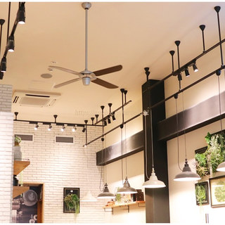 マザーリーフ ティー スタイル_2