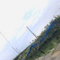 レストランゼルコバ - 
