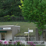 アビオファームズマーケット - 公園は青々と夏の名残。路肩に可憐なニチニチソウ