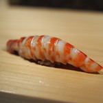 鮨 尚充 - 車海老