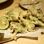 呑肴処　きたせん楓 - 