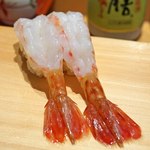 新宿栄寿司 - 牡丹海老