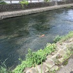 Chiyoueiken - うずま川