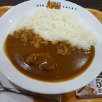 銀カレー東京 - 量の少ないサイズのポークカレー380円