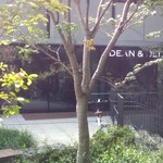DEAN&DELUCA CAFE - 緑が豊か