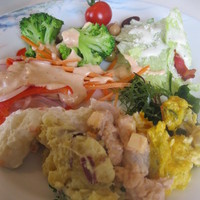 オチェーアノ - サラダ類