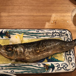夜ノ焼魚 ちょーちょむすび - 