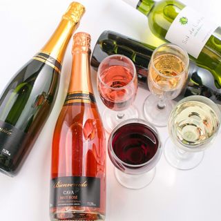 cheese&PartyGAMES 〇5_0