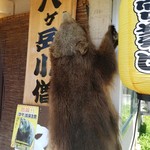 八ヶ岳小僧 - くま