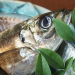 酒と魚菜 さかもと - 