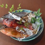 酒と魚菜 さかもと - 