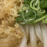 トウキョウライトブルー ホンゴウスリー - かけうどん あつ アップ2