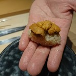 鮨 唐島 - ムラサキウニ