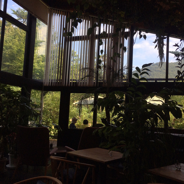 閉店 森のカフェハコネ 森のカフェhakone 強羅 カフェ 食べログ 閉店 森のカフェハコネ 森のカフェhakone 強羅 カフェ 食べログ