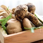 Cafe and Dining filia 