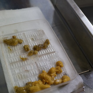 うにむき体験センター_0