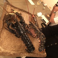 ボニュ - 