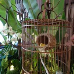 Silks Place Taroko - 