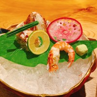 日本料理 をとわ - 