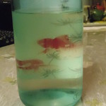 むとう屋 - これが金魚。どうやら`16年7月購入らしい。