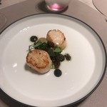 アルシミスト - 