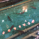 ざうお 天神店 - 