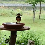 くつきそば 永昌庵 - 