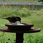 くつきそば 永昌庵 - 