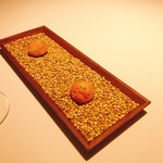 ブレストンコート ユカワタン - 