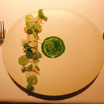 ブレストンコート ユカワタン - 