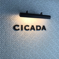 CICADA - 