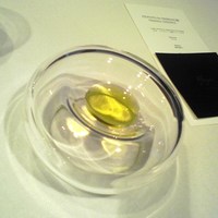 RISTORANTE YAGI - 