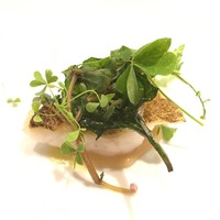 RISTORANTE IL NODO - かず丸さんのハタ　渡辺農園のジャガイモ　摘み草