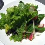 RISTORANTE HiRo - PranzoAの野菜のサラダ