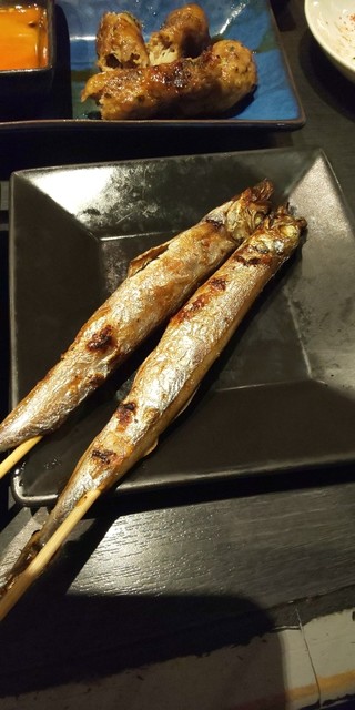 日比谷鳥こまち 中津 焼鳥 食べログ 日比谷鳥こまち 中津 焼鳥 食べログ