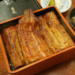 魚政 - うな重特々上