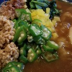 平日昼だけ - 和だしそぼろカレー(ハーフ)＋全部のせ