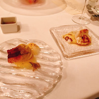 サーラ アマービレ - 