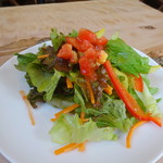 ドットリーノ ピッツェリア ストゥッツィケリア - サラダ