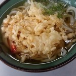 さぬきうどん - 天ぷらうどん520円