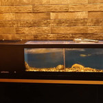 神戸ステーキ 花ほうび - 