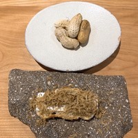 bb9 - 