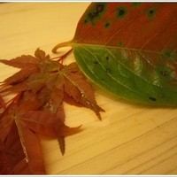 鮨 生粋 - 