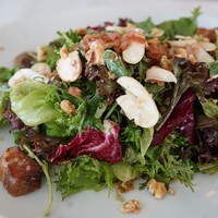 Benoit Alain Ducasse - 