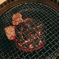 みやび 六本木店 - 
