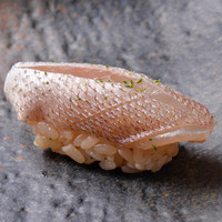 ランチおまかせ特上コース