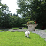 オーベルジュ・オー・ミラドー - 初めての芝生の感触〜♬