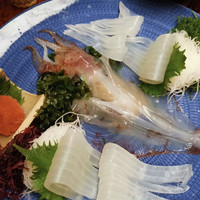 稚加榮 本店 - 活イカ