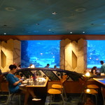 Coral Reef Restaurant - 