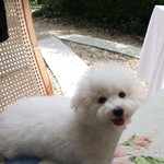 オーベルジュ・オー・ミラドー - ２時間半お行儀よく・・♡